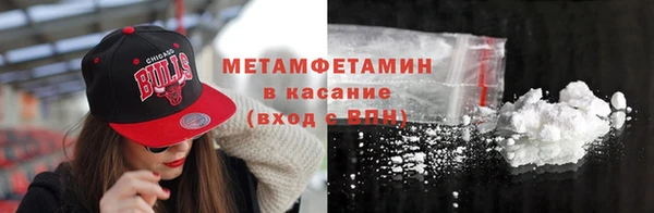 прущие грибы Дмитриев