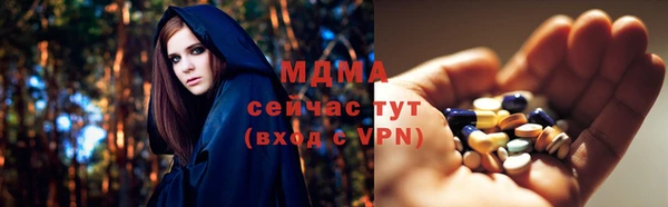 прущие грибы Дмитриев