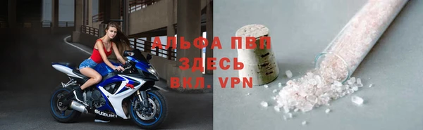 прущие грибы Дмитриев