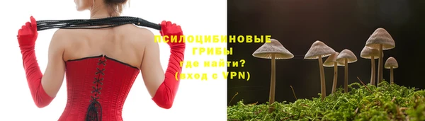 прущие грибы Дмитриев