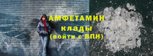 прущие грибы Дмитриев