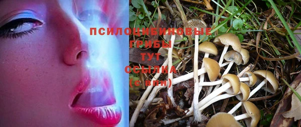 MDMA Дмитровск