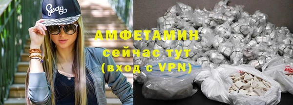 прущие грибы Дмитриев
