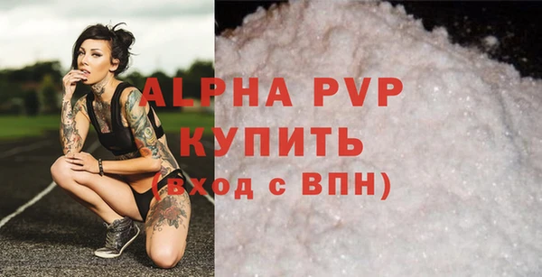прущие грибы Дмитриев