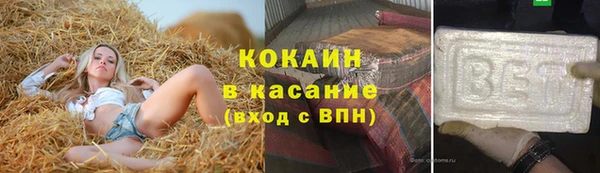 прущие грибы Дмитриев