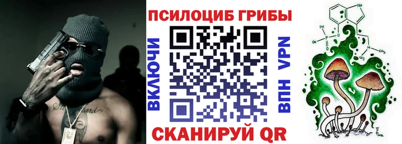Псилоцибиновые грибы Cubensis  Купить закладки  Алатырь 